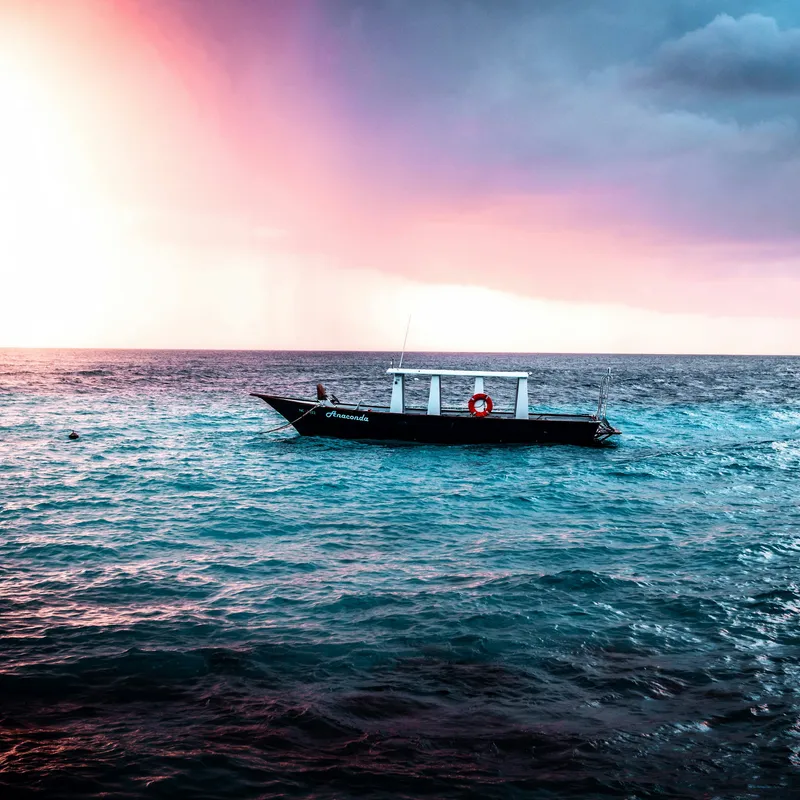 https://images.unsplash.com/photo-1549978907-5493b27b19c7?auto=format&q=80